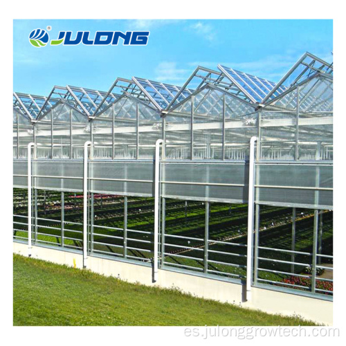 Venlo Hydroponic Multi Span Glass invernadero